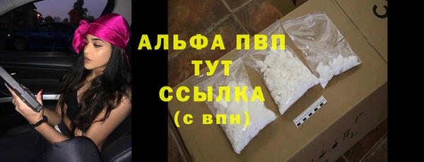 PSILOCYBIN Бердск